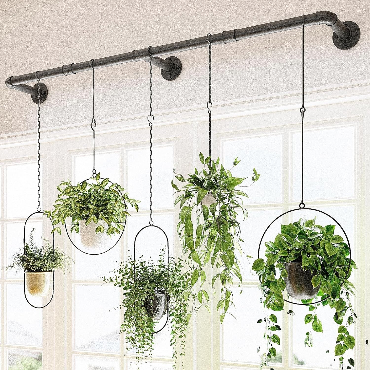 Window Plant Hanger Indoor 63In Hanging Planters for Indoor Plants Hanging Plant