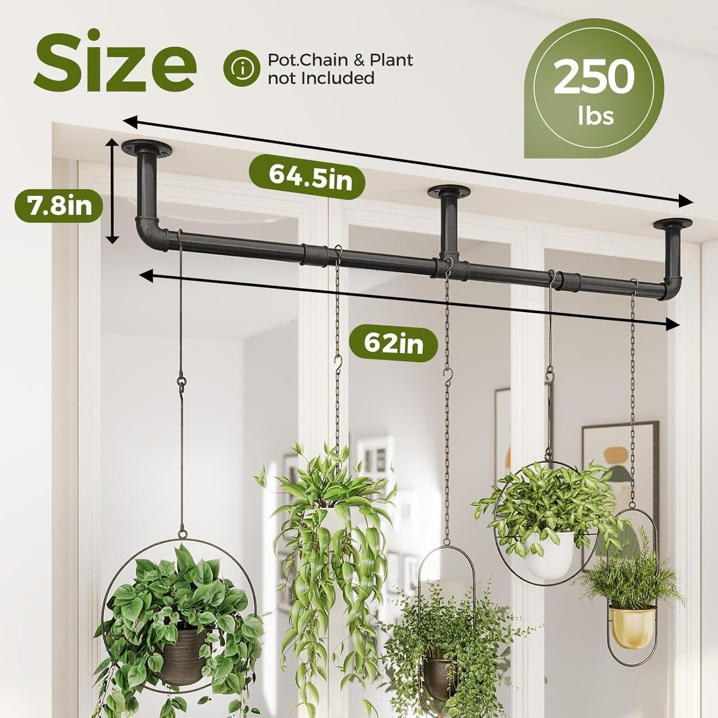 Window Plant Hanger Indoor 63In Hanging Planters for Indoor Plants Hanging Plant